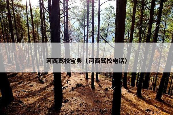 河西驾校宝典（河西驾校电话）