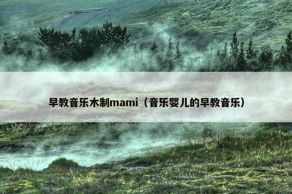 早教音乐木制mami（音乐婴儿的早教音乐）