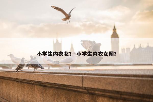 小学生内衣女？ 小学生内衣女图？