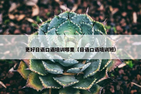 更好日语口语培训哪里（日语口语培训班）