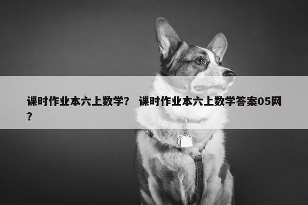 课时作业本六上数学？ 课时作业本六上数学答案05网？