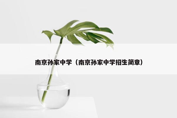 南京孙家中学（南京孙家中学招生简章）