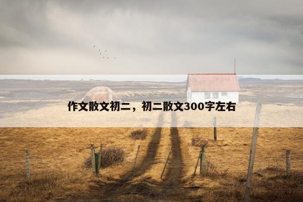 作文散文初二，初二散文300字左右