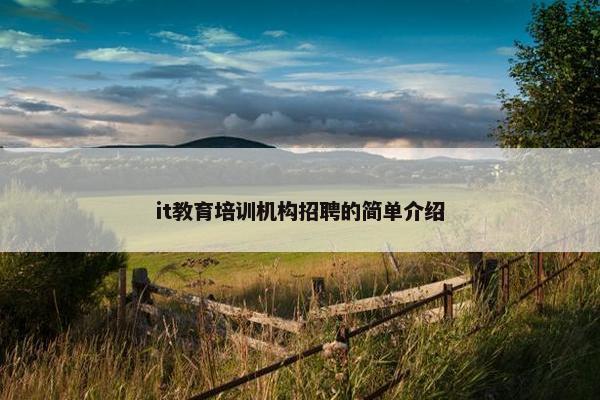 it教育培训机构招聘的简单介绍