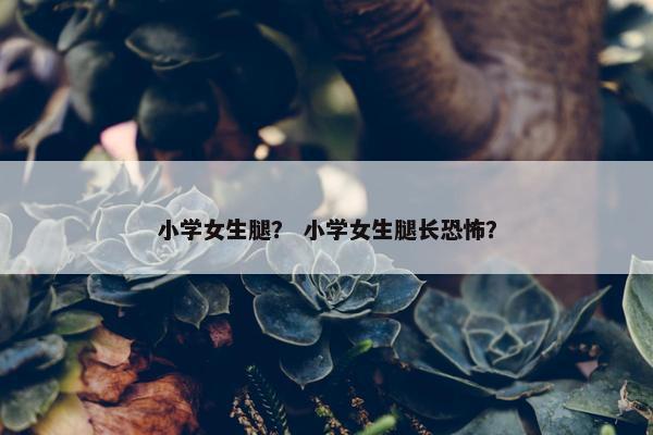小学女生腿？ 小学女生腿长恐怖？