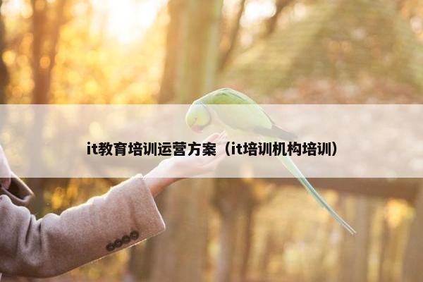 it教育培训运营方案（it培训机构培训）
