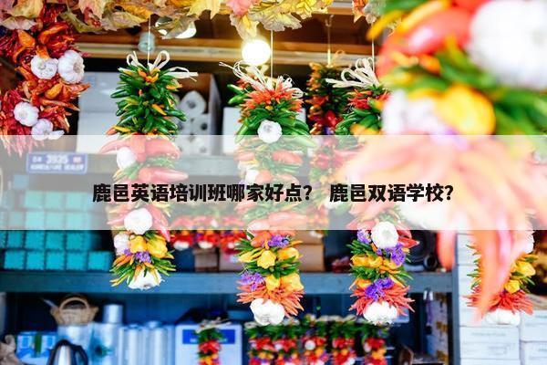 鹿邑英语培训班哪家好点？ 鹿邑双语学校？