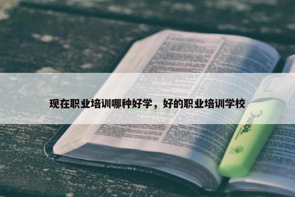 现在职业培训哪种好学，好的职业培训学校