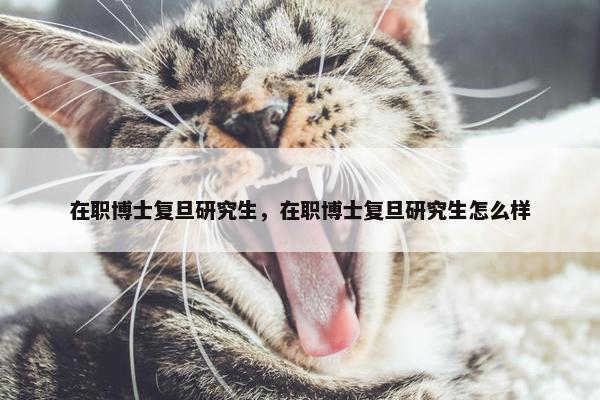 在职博士复旦研究生，在职博士复旦研究生怎么样
