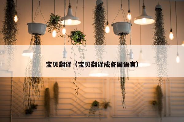 宝贝翻译（宝贝翻译成各国语言）