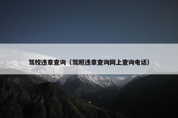 驾校违章查询（驾照违章查询网上查询电话）