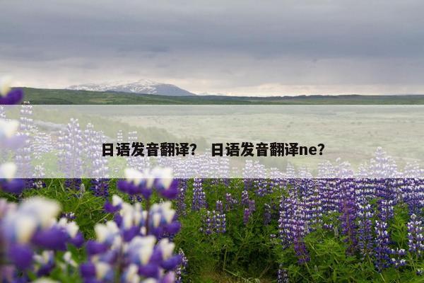 日语发音翻译？ 日语发音翻译ne？