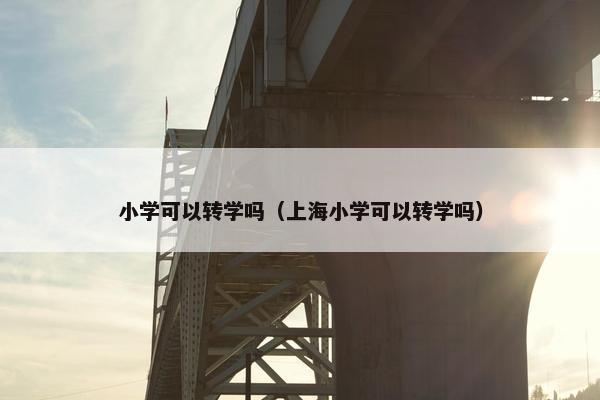 小学可以转学吗（上海小学可以转学吗）