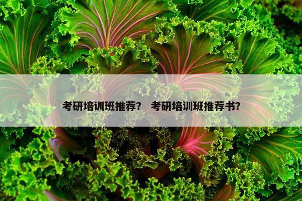 考研培训班推荐？ 考研培训班推荐书？