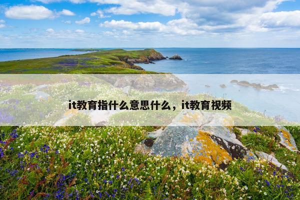 it教育指什么意思什么，it教育视频