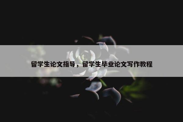 留学生论文指导，留学生毕业论文写作教程