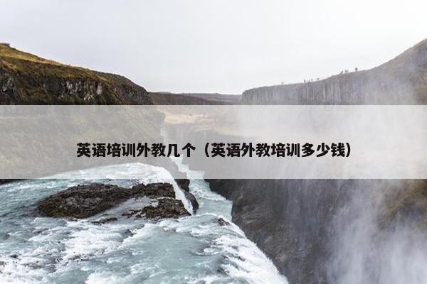 英语培训外教几个（英语外教培训多少钱）