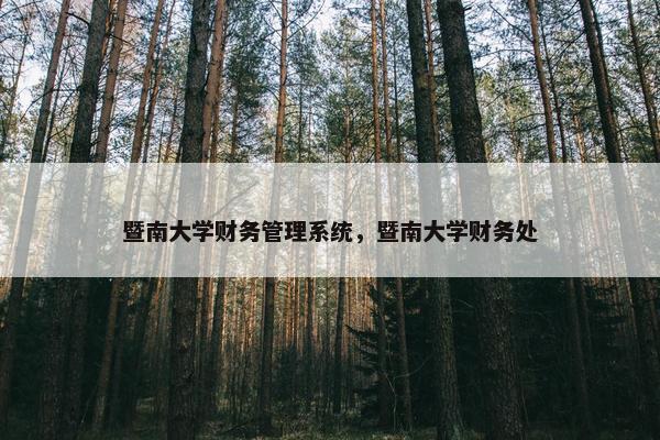 暨南大学财务管理系统，暨南大学财务处