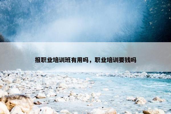 报职业培训班有用吗，职业培训要钱吗