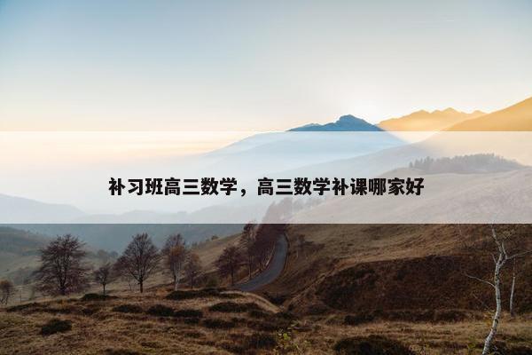 补习班高三数学，高三数学补课哪家好