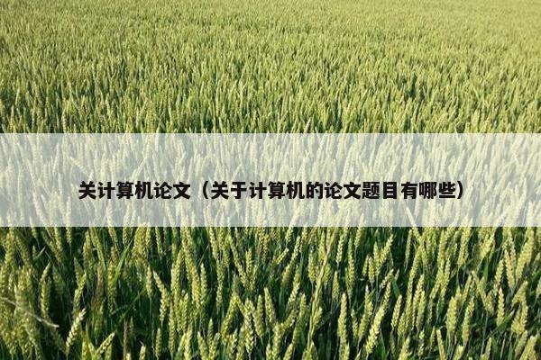 关计算机论文（关于计算机的论文题目有哪些）