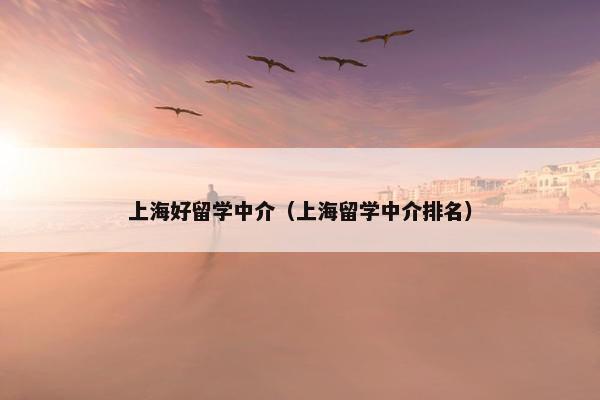 上海好留学中介（上海留学中介排名）