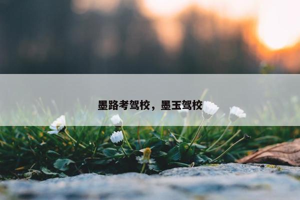 墨路考驾校，墨玉驾校