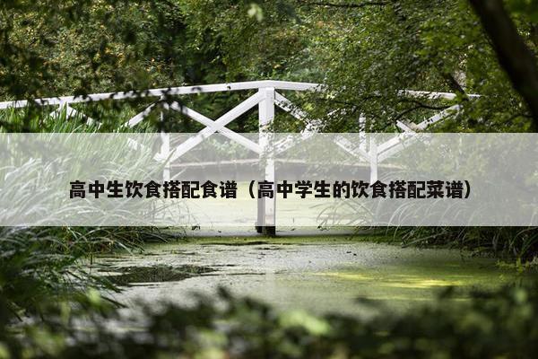 高中生饮食搭配食谱（高中学生的饮食搭配菜谱）