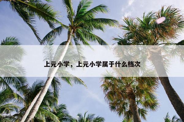 上元小学，上元小学属于什么档次