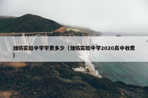 潍坊实验中学学费多少（潍坊实验中学2020高中收费）