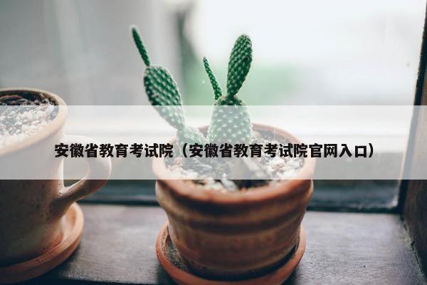 安徽省教育考试院（安徽省教育考试院官网入口）