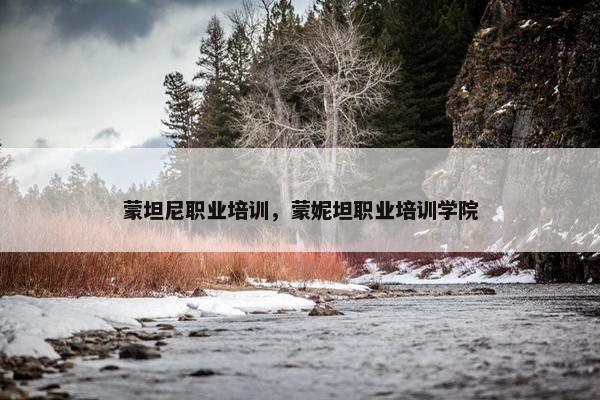 蒙坦尼职业培训，蒙妮坦职业培训学院