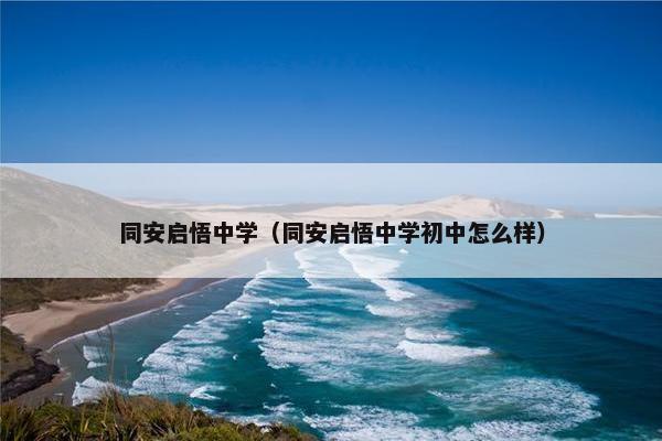 同安启悟中学（同安启悟中学初中怎么样）