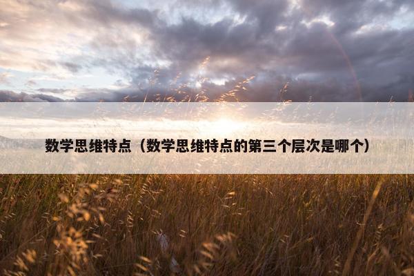 数学思维特点（数学思维特点的第三个层次是哪个）