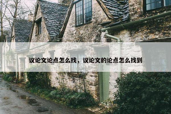 议论文论点怎么找，议论文的论点怎么找到