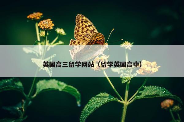 英国高三留学网站（留学英国高中）