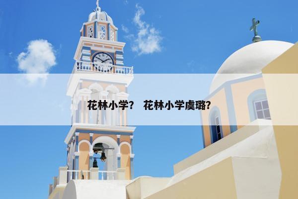 花林小学？ 花林小学虞璐？