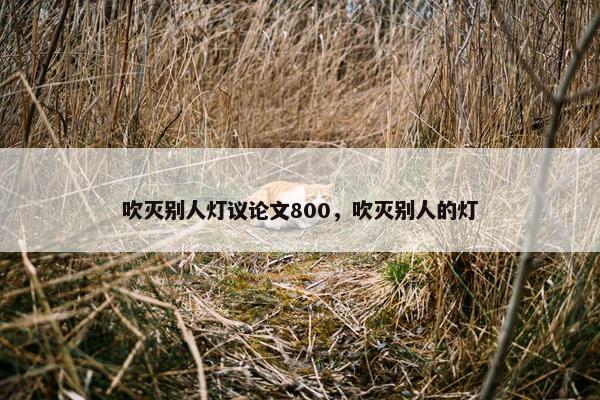 吹灭别人灯议论文800，吹灭别人的灯