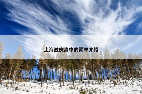 上海滋庆高中的简单介绍