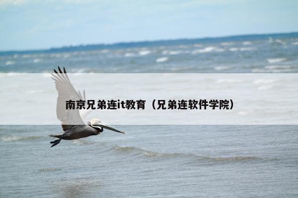 南京兄弟连it教育（兄弟连软件学院）