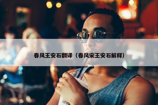 春风王安石翻译（春风宋王安石解释）