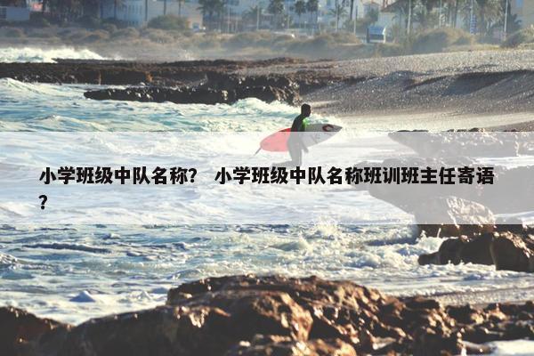 小学班级中队名称？ 小学班级中队名称班训班主任寄语？