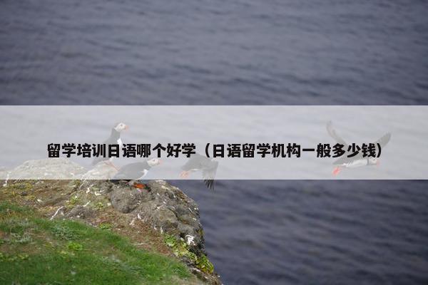 留学培训日语哪个好学（日语留学机构一般多少钱）