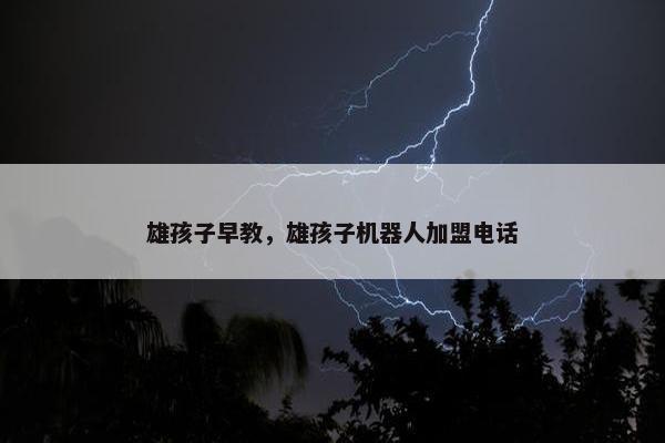 雄孩子早教，雄孩子机器人加盟电话