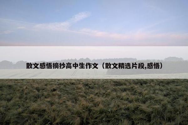 散文感悟摘抄高中生作文（散文精选片段,感悟）