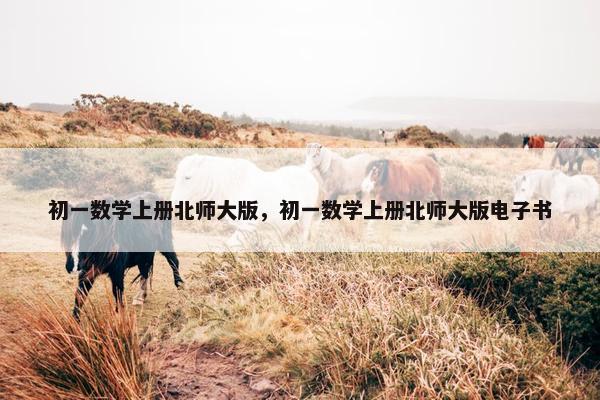 初一数学上册北师大版，初一数学上册北师大版电子书