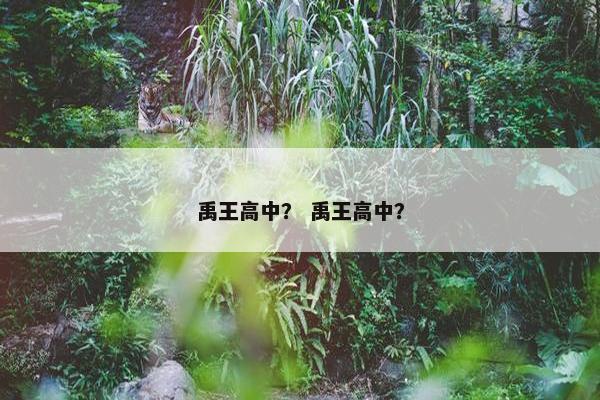 禹王高中？ 禹王高中？