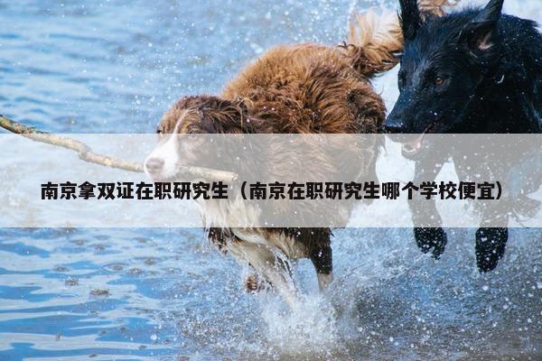 南京拿双证在职研究生（南京在职研究生哪个学校便宜）
