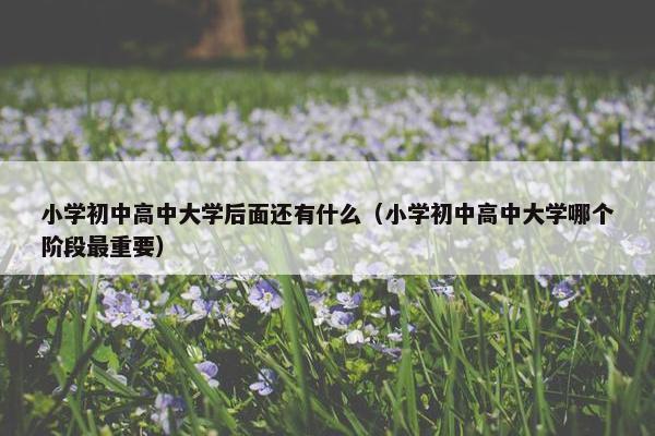 小学初中高中大学后面还有什么（小学初中高中大学哪个阶段最重要）