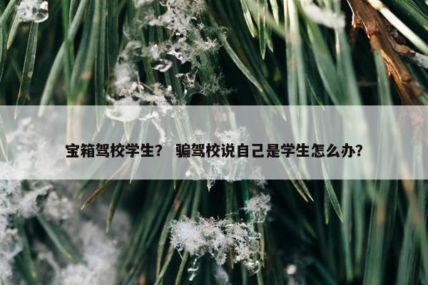 宝箱驾校学生？ 骗驾校说自己是学生怎么办？